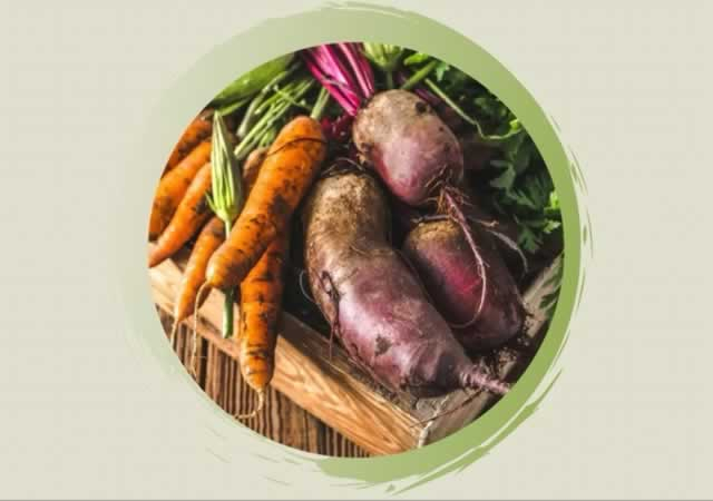 KAC-Andelsbuch-Kreative-Kräuter-Gemuesekueche_640