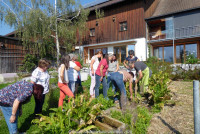 „Hol dir den Sommer ins Glas“ Kurs für Kneipp-Funktionäre