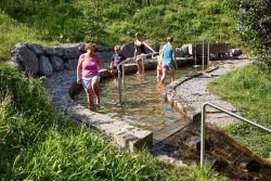 „Storchenschritt“ bringt Erfrischung