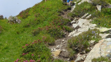 Landeswandertag_2018_Diedamskopf_18 Landeswandertag_2018_Diedamskopf_18