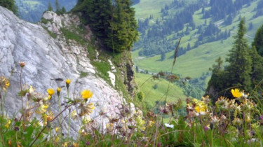 Landeswandertag_2018_Diedamskopf_6 Landeswandertag_2018_Diedamskopf_6