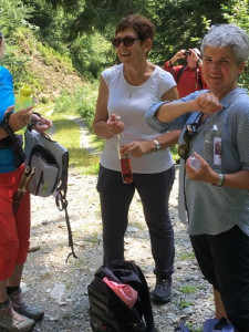 Kneipp_Vorarlberg_Landeswandertag_Silbertal__2503 Kneipp_Vorarlberg_Landeswandertag_Silbertal__2503