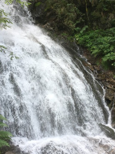 Kneipp_Vorarlberg_Landeswandertag_Silbertal__2504 Kneipp_Vorarlberg_Landeswandertag_Silbertal__2504