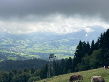 Kneipp_LV_Vorarlberg_Wandertag_Georg_Jillich_2203 Kneipp_LV_Vorarlberg_Wandertag_Georg_Jillich_2203