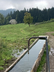 Kneipp_LV_Vorarlberg_Wandertag_Georg_Jillich_2206 Kneipp_LV_Vorarlberg_Wandertag_Georg_Jillich_2206