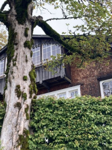 Kneipp_LV_Vorarlberg_Wandertag_Georg_Jillich_2208 Kneipp_LV_Vorarlberg_Wandertag_Georg_Jillich_2208