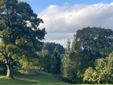 Kneipp_LV_Vorarlberg_Wandertag_Georg_Jillich_2241 Kneipp_LV_Vorarlberg_Wandertag_Georg_Jillich_2241