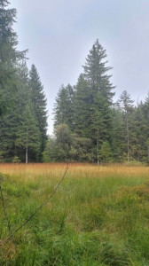 Kneipp_LV_Vorarlberg_Wandertag_Georg_Jillich_132519 Kneipp_LV_Vorarlberg_Wandertag_Georg_Jillich_132519