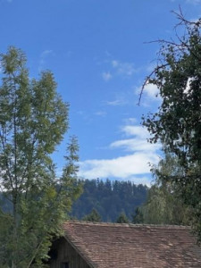 Kneipp-LV-Vorarlberg-Pilgerwanderung-Bildstein_3949 Kneipp-LV-Vorarlberg-Pilgerwanderung-Bildstein_3949