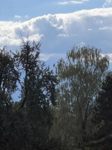 Kneipp-LV-Vorarlberg-Pilgerwanderung-Bildstein_3954 Kneipp-LV-Vorarlberg-Pilgerwanderung-Bildstein_3954