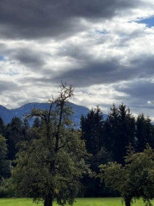 Kneipp-LV-Vorarlberg-Pilgerwanderung-Bildstein_3958 Kneipp-LV-Vorarlberg-Pilgerwanderung-Bildstein_3958