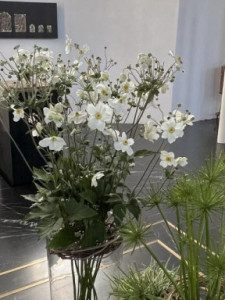 Kneipp-LV-Vorarlberg-Pilgerwanderung-Bildstein_4037 Kneipp-LV-Vorarlberg-Pilgerwanderung-Bildstein_4037