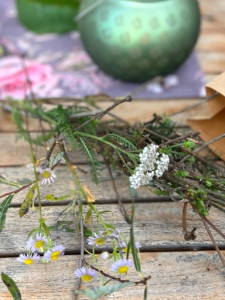 LV-Kneipp-Vorarlberg-Raeuchern-in-die-dunkle-Zeit_19_11_2022-15_23_18 LV-Kneipp-Vorarlberg-Raeuchern-in-die-dunkle-Zeit_19_11_2022-15_23_18