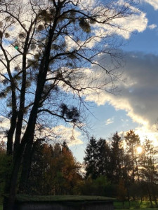 LV-Kneipp-Vorarlberg-Raeuchern-in-die-dunkle-Zeit_19_11_2022-15_42_44 LV-Kneipp-Vorarlberg-Raeuchern-in-die-dunkle-Zeit_19_11_2022-15_42_44