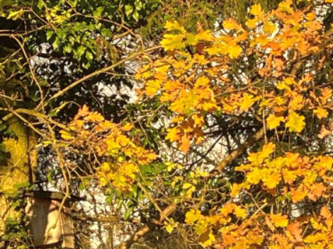 LV-Kneipp-Vorarlberg-Raeuchern-in-die-dunkle-Zeit_19_11_2022-15_44_11 LV-Kneipp-Vorarlberg-Raeuchern-in-die-dunkle-Zeit_19_11_2022-15_44_11