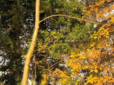 LV-Kneipp-Vorarlberg-Raeuchern-in-die-dunkle-Zeit_19_11_2022-15_44_22 LV-Kneipp-Vorarlberg-Raeuchern-in-die-dunkle-Zeit_19_11_2022-15_44_22