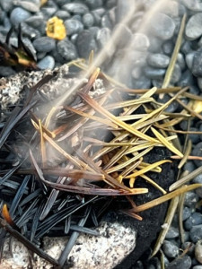 LV-Kneipp-Vorarlberg-Raeuchern-in-die-dunkle-Zeit_19_11_2022-16_01_27 LV-Kneipp-Vorarlberg-Raeuchern-in-die-dunkle-Zeit_19_11_2022-16_01_27