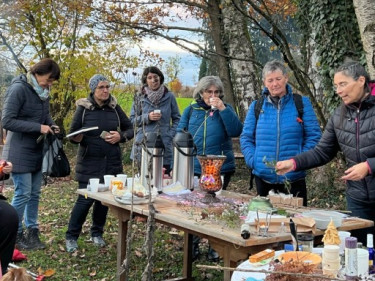 LV-Kneipp-Vorarlberg-Raeuchern-in-die-dunkle-Zeit_19_11_2022-16_22_33 LV-Kneipp-Vorarlberg-Raeuchern-in-die-dunkle-Zeit_19_11_2022-16_22_33