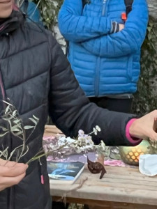 LV-Kneipp-Vorarlberg-Raeuchern-in-die-dunkle-Zeit_19_11_2022-16_37_55 LV-Kneipp-Vorarlberg-Raeuchern-in-die-dunkle-Zeit_19_11_2022-16_37_55