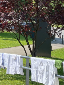 Kneipp-Basis-Wasserkurs-LV-Vlbg__8195 Kneipp-Basis-Wasserkurs-LV-Vlbg__8195