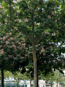 Kneippiade_2023_7568 Kneippiade_2023_7568