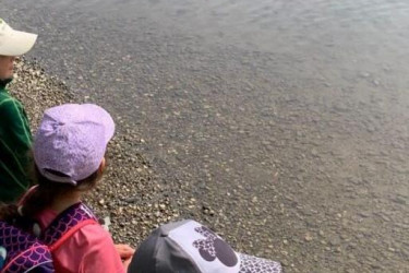 KAC-Dornbirn-Biberparadies-Rheinholz-01