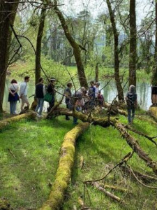 KAC-Dornbirn-Biberparadies-Rheinholz-04