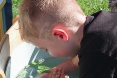 LV-Vorarlberg-Zertifizierung-KIKA-Rankweil_11 LV-Vorarlberg-Zertifizierung-KIKA-Rankweil_11