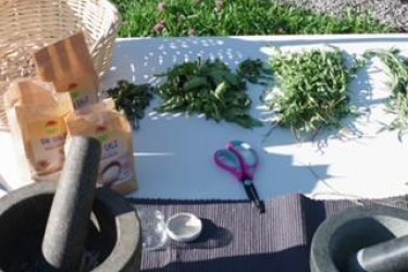 LV-Vorarlberg-Zertifizierung-KIKA-Rankweil_7 LV-Vorarlberg-Zertifizierung-KIKA-Rankweil_7