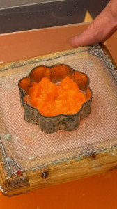 kac-bludenz-bluehende-Karten2 kac-bludenz-bluehende-Karten2